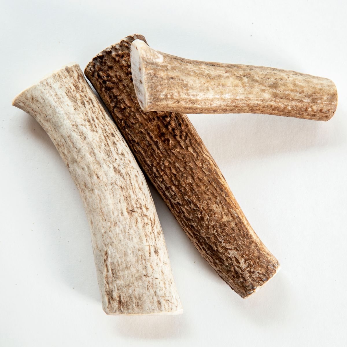 are deer antler dog chews safe