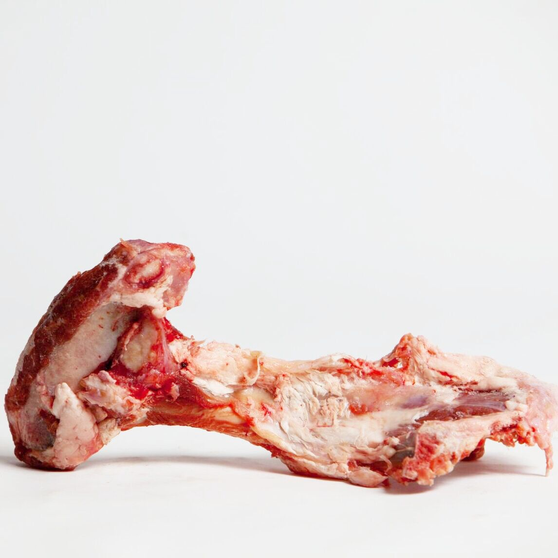 Raw Meaty Lamb Pelvis Bone for Dogs