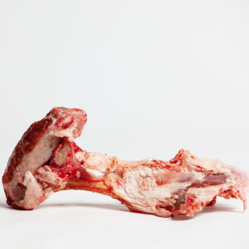 Raw Meaty Lamb Pelvis Bone